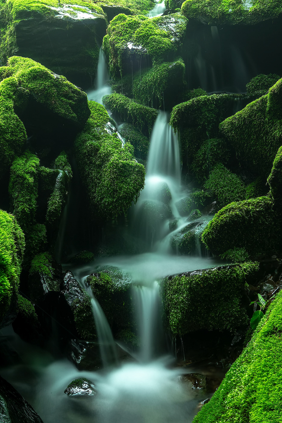 Jangjeon Moss Valley