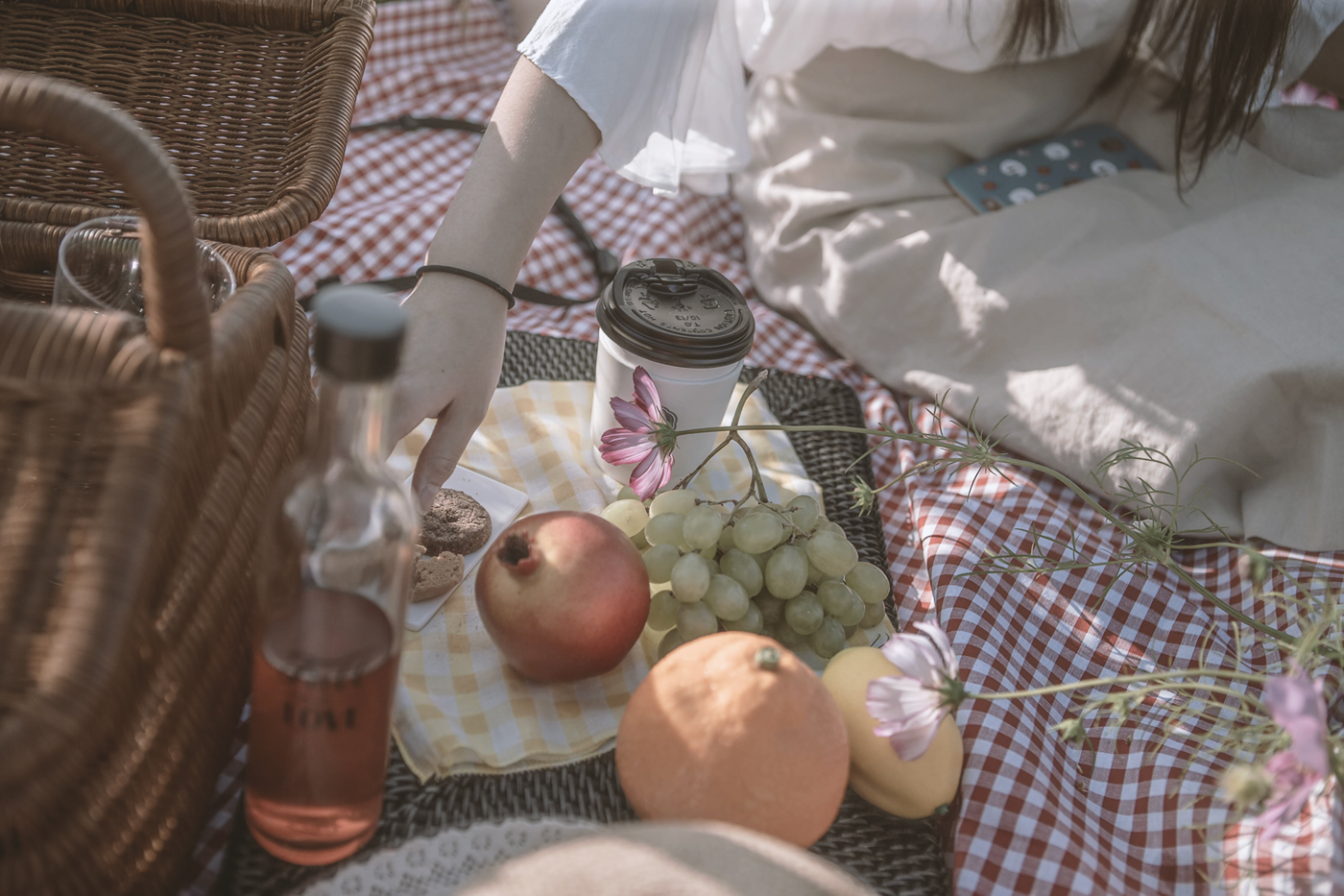 Cosmos picnic[MD_JISOO]